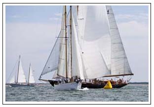 Juno and Aschanti IV sailing in the Opera House Cup Regatta